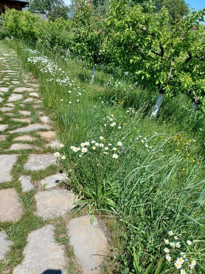 Pensiunea Agroturistica Casa Jucan Poieni Eksteriør billede